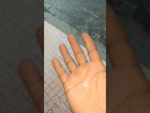 Resultado de imagem para Chuva de granizo, raios e ventania causam estragos em Ibirataia