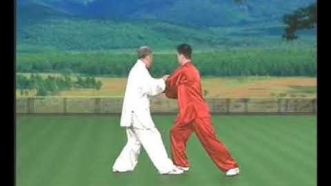 KOU-太極拳・推手教学(李徳印)