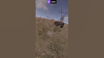 hahhaahh #RUST24 #qaixx #rust