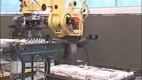 Model BP Bag Palletizer Video by Automated Cells and Equipment