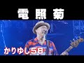 かりゆし58/電照菊【2025 那覇大綱挽まつり】
