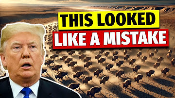 NO ONE BELIEVED THIS WOULD WORK! Hundreds of Bison Put on DEAD LAND – What Followed SHOCKED Everyone