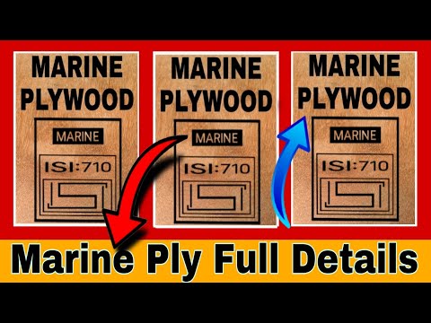 What Is Marine Plywood | In Hindi