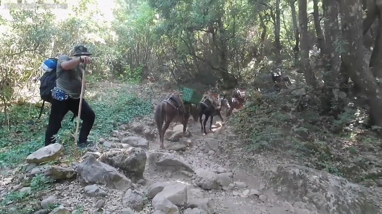 Ανάβαση στον Άθως από Μοναστήρι Αγίας Άννας. 