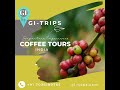 Coffee tour india  gitrips  signature tours  geographical indications  wwwgitripscom