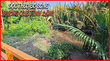 Rustig landschap op het platteland: wandelen onder de Kinh Dieu-brug, langs het water en de kokos...