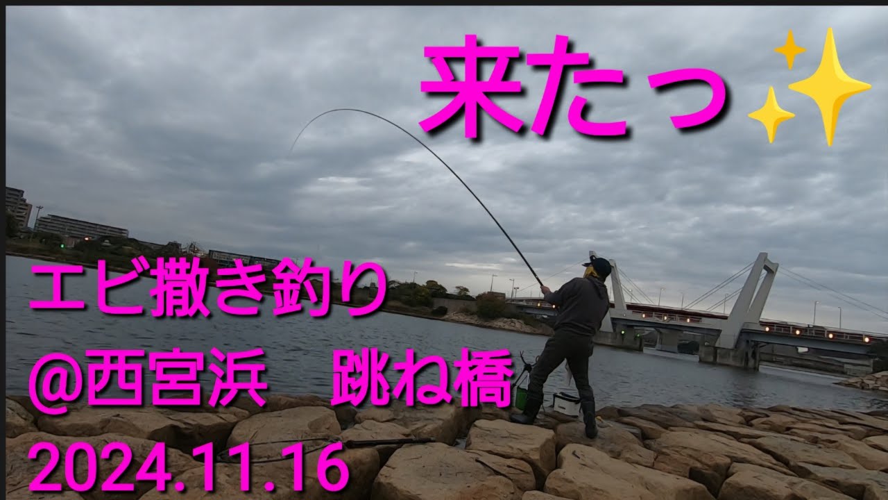 夕方 超短時間のエビ撒き釣り@西宮浜 跳ね橋(2024.11.16) - YouTube 夕方 超短時間のエビ撒き釣り@西宮浜 跳ね橋(2024.11.16) - YouTube