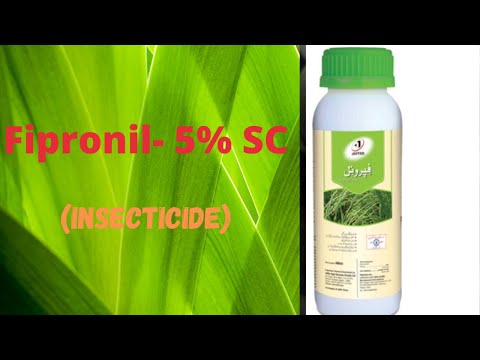 Fipronil - 5% SC Insecticide / Uses & Mode Of Action (