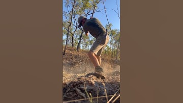 Using the minelab GPZ 7000 to extract more gold from a patch. #minelab #goldextraction #gold