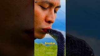 The Snake's Nanny