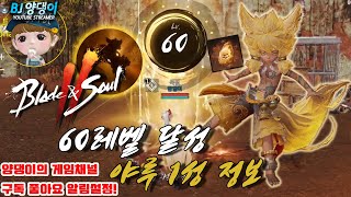 [블레이드&소울2/블소2] 60레벨 보상 전설소울 '야루' 스텟 보고 가실께요~! / 명불허전5 '묵념' 양댕이