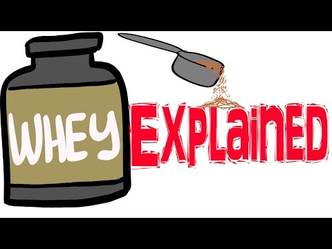 What is Whey Protein? (Protein Shake)