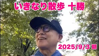 いきなり生散歩　今日のリス部長は？　2025/9/3(水)
