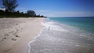 Florida's gulf coast beach looking amazing - take a look!