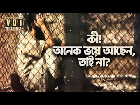 ভিডিও: পূর্বসূরী কী