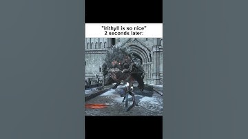 Irithyll was cool but "Beware of dog"😭#darksouls #fromsoftware