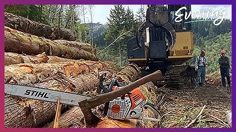 Logger legends live on thanks to this man