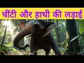 हाथी और चींटी की टकराहट: कौन जीतेगा? || #HathiAurChinti #MoralStory #motivation #viralvideos