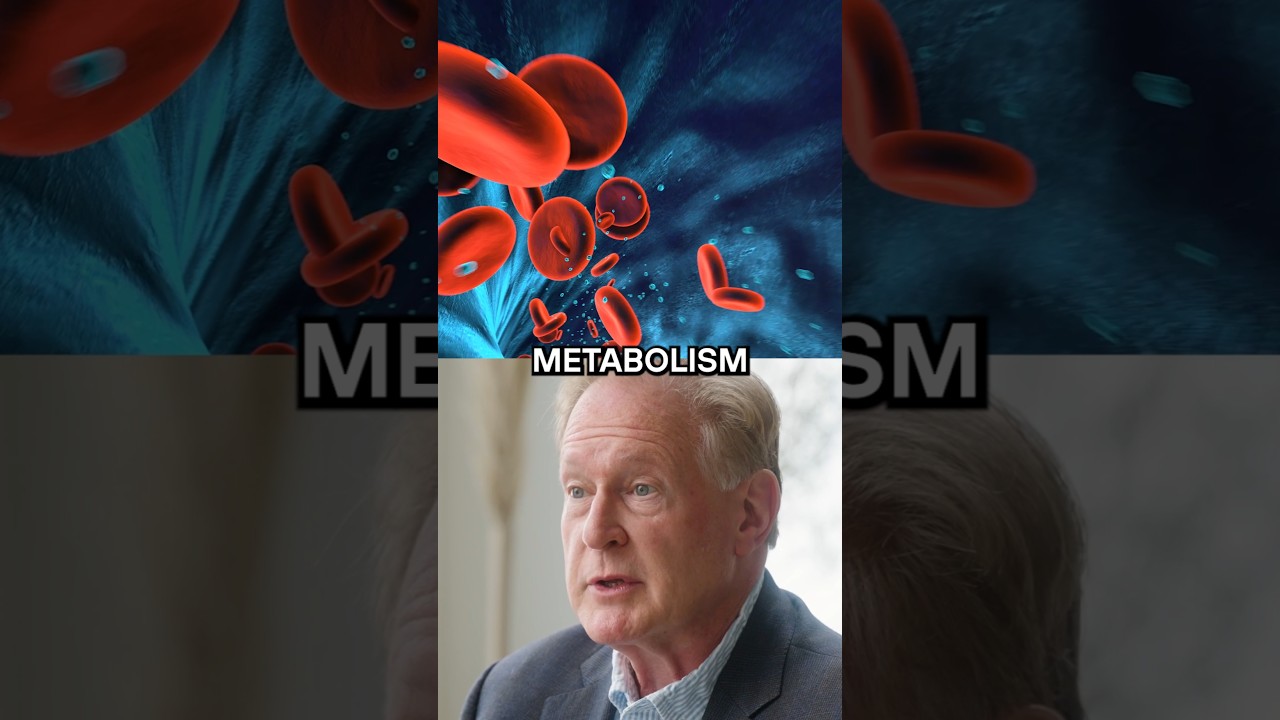 What Is Metabolism and How Does It Work? | Dr. Robert Lustig
