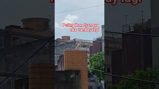 Ang puting  ibon  #short #satisfying #youtubeshorts