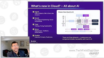 Protecting the Intelligence and Infrastructure Behind AI