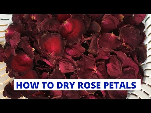 Video: How To Dry Rose Petals