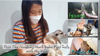 Visit The Noah by Mark Baba Pets Cafe with My Dear April 24'