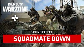 Call Of Duty: Warzone | Squadmate Down [Sound Effect]