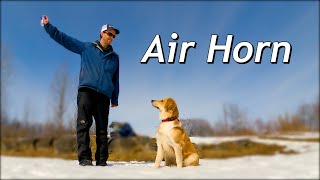 DOG VS. BEAR SPRAY / AIR HORN