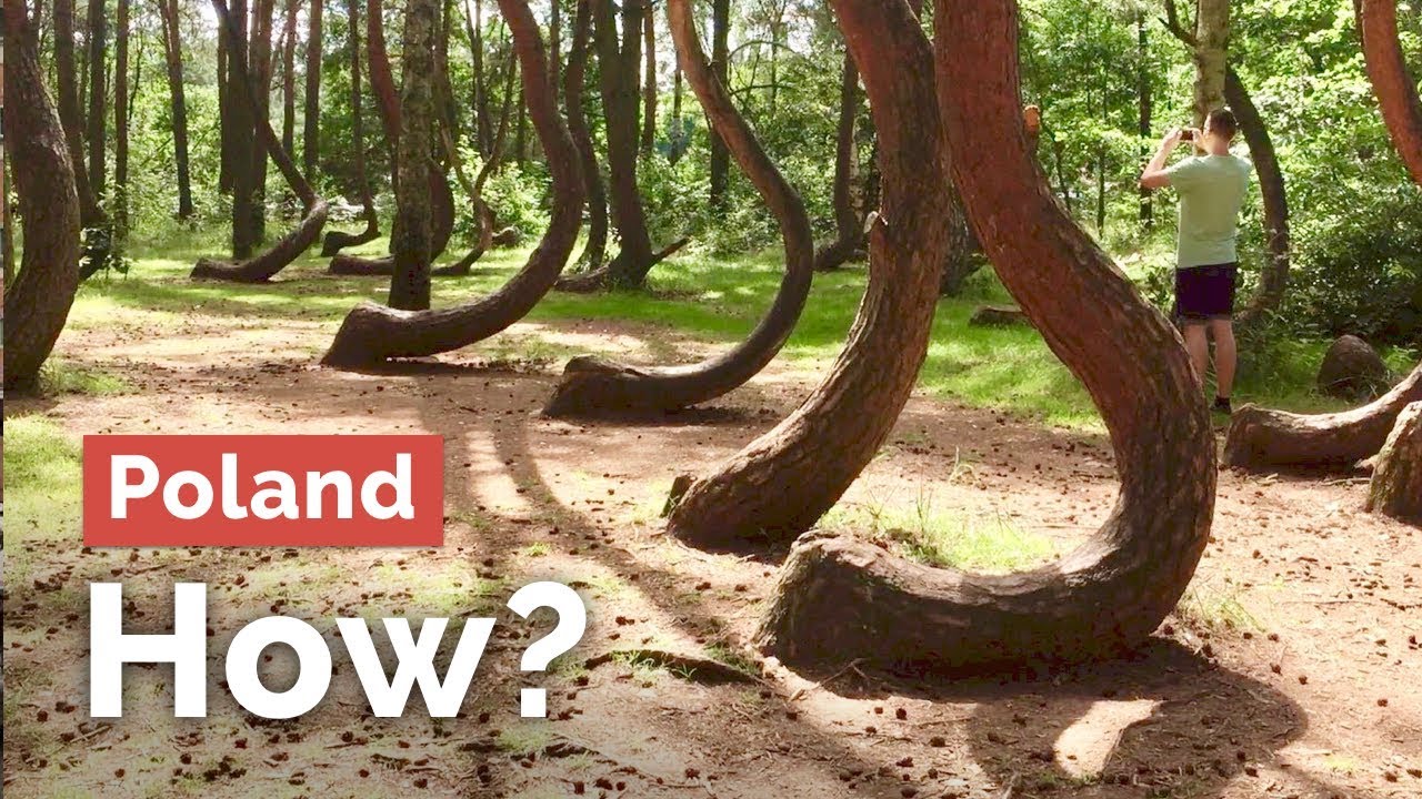 But How Insane Crooked Forest In Poland Youtube,Christina El Moussa Net Worth 2020