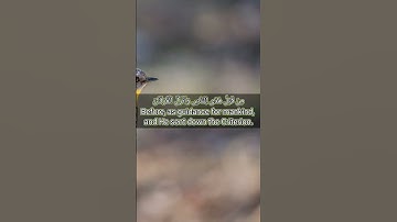 قرآن الكريم سورة آل عمران الآية 4The Holy Quran, Surah Al Imran, Verse 4 #قران_كريم #قران_كريم_ارح_