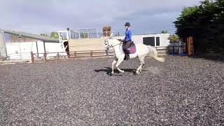 Blue flatwork