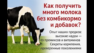 видео: Народный опыт и секреты достижения высоких надоев коров без концентратов и добавок. Это реально?-Да! картинка: Народный опыт и секреты достижения высоких надоев коров без концентратов и добавок. Это реально?-Да!