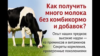 Народный опыт и секреты достижения высоких надоев коров без концентратов и добавок. Это реально?-Да!