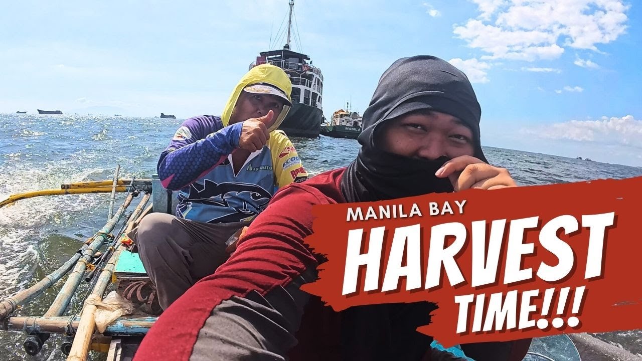 Ang daming isda!! Harvest time talaga dito sa Manila Bay offshore fishing