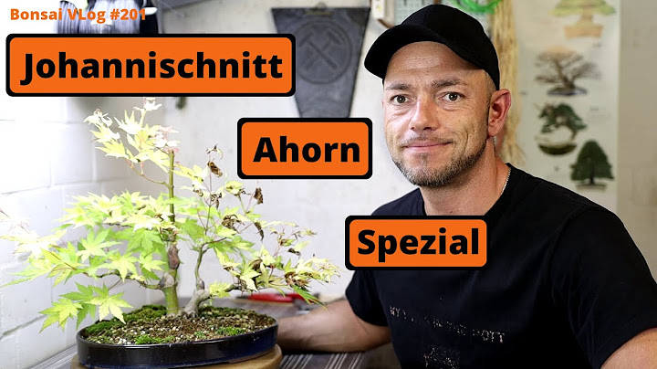 Johannischnitt Ahorn Spezial - Fast alle meine Ahörnchen für euch vor der Kamera | #BonsaiVLog201
