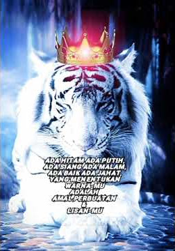 quotes keren. nasehat ini untuk diriku #shorts #rajamacanputih #motivation #1ksubscribers #1kcreator