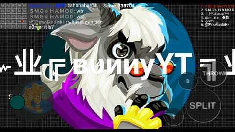 Blob self feed ip and gameplay