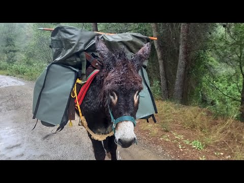 Resuming in the rain...
