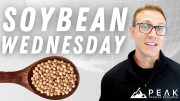 Should You Buy Soybeans on Wednesdays? | Strategy of the Month July 2022 | Soybean Trading Strategy