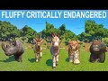 Fluffy Critically Endangered Species Speed Race in Planet Zoo included Addax, Wild Ass, Gorilla