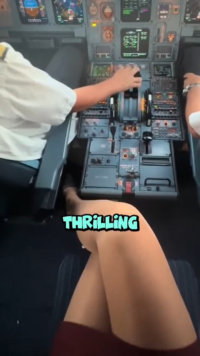 can a passenger really land a plane?