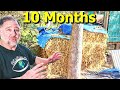 What Happens to Bales of Straw/Cane if You Just Leave Them?