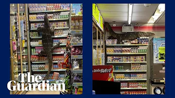 Giant lizard climbs shelves of Thai supermarket in search of food