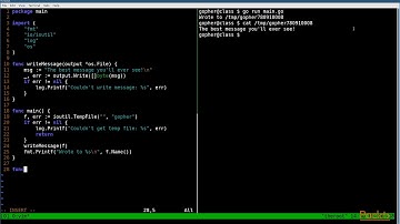 Troubleshooting Go Application Development : Concrete Type Versus Dynamic Type | packtpub.com