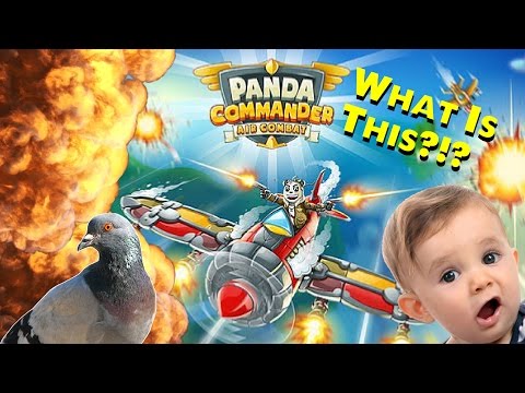 Toasty! | Panda Commander, Whatever That Is???