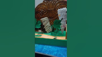 Cyclone 🌀 Model Making | DIY Model | Cyclone Project #shorts #diy #project #model