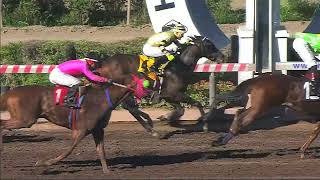 Vidéo de la course PMU PRIX PERIQUETE