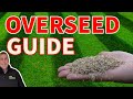 Beginners guide to overseeding a lawn and everything you need to get it RIGHT