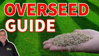 Beginners guide to overseeding a lawn and everything you need to get it RIGHT